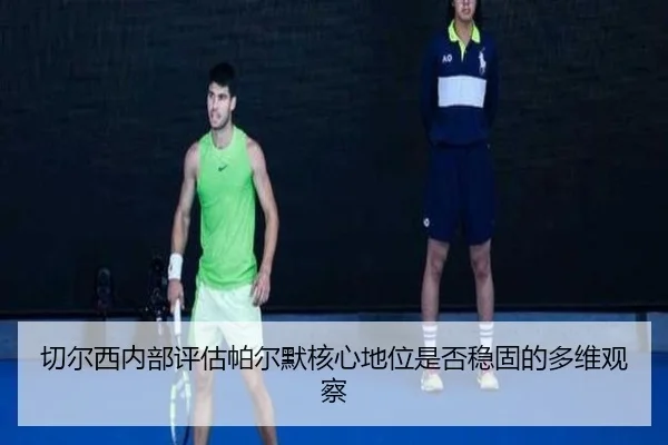 qie-er-xi-nei-bu-ping-gu-pa-er-mo-he-xin-di-wei-shi-fou-wen-gu-de-duo-wei-guan-cha-3-601.jpg